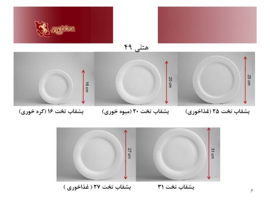 ست چینی زرین دایره سفید