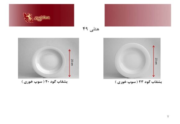 ست چینی زرین دایره سفید