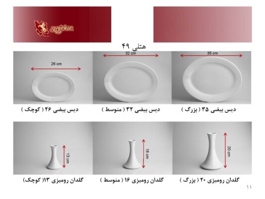ست چینی زرین دایره سفید